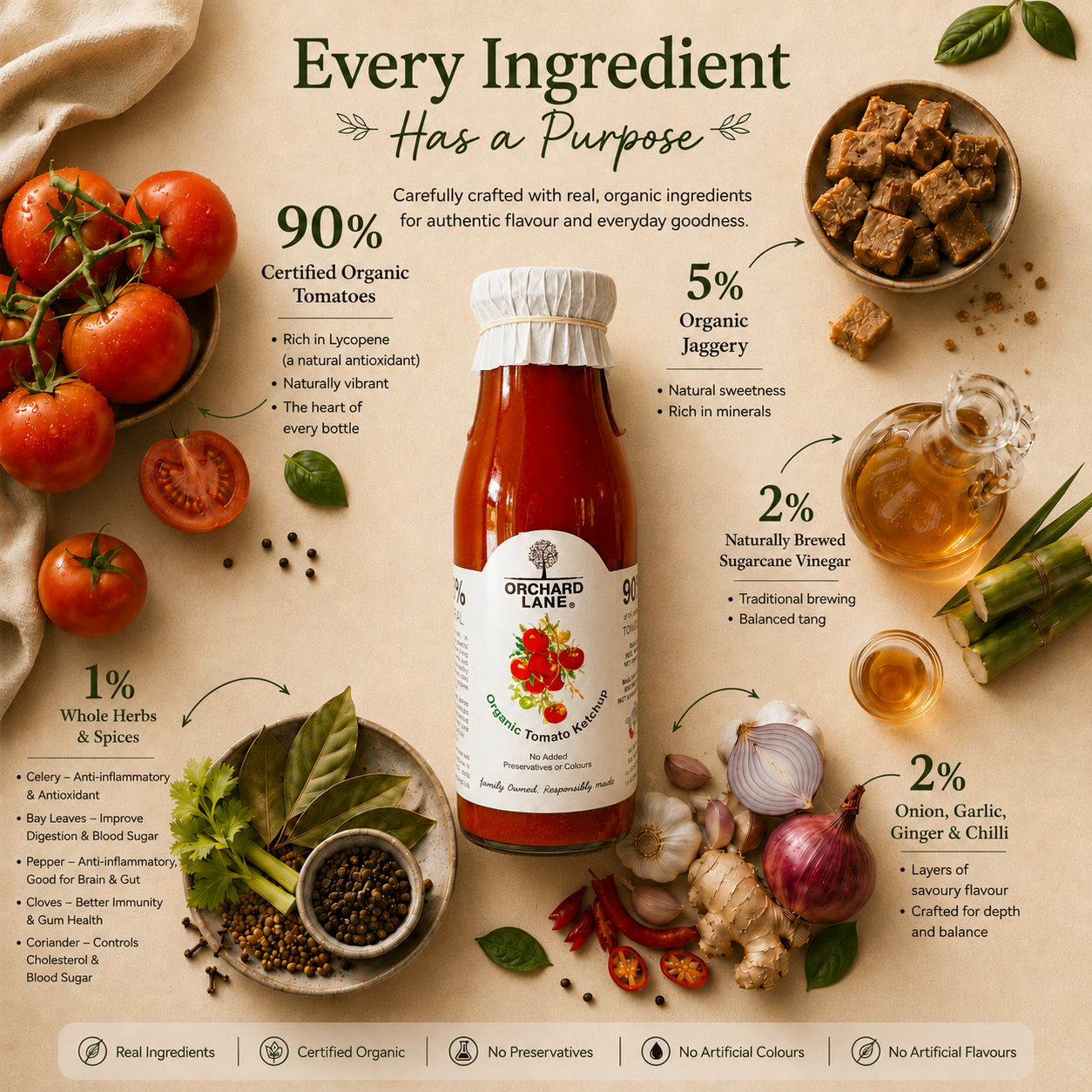 Organic Ketchup Combo of 2 | 350 gm each