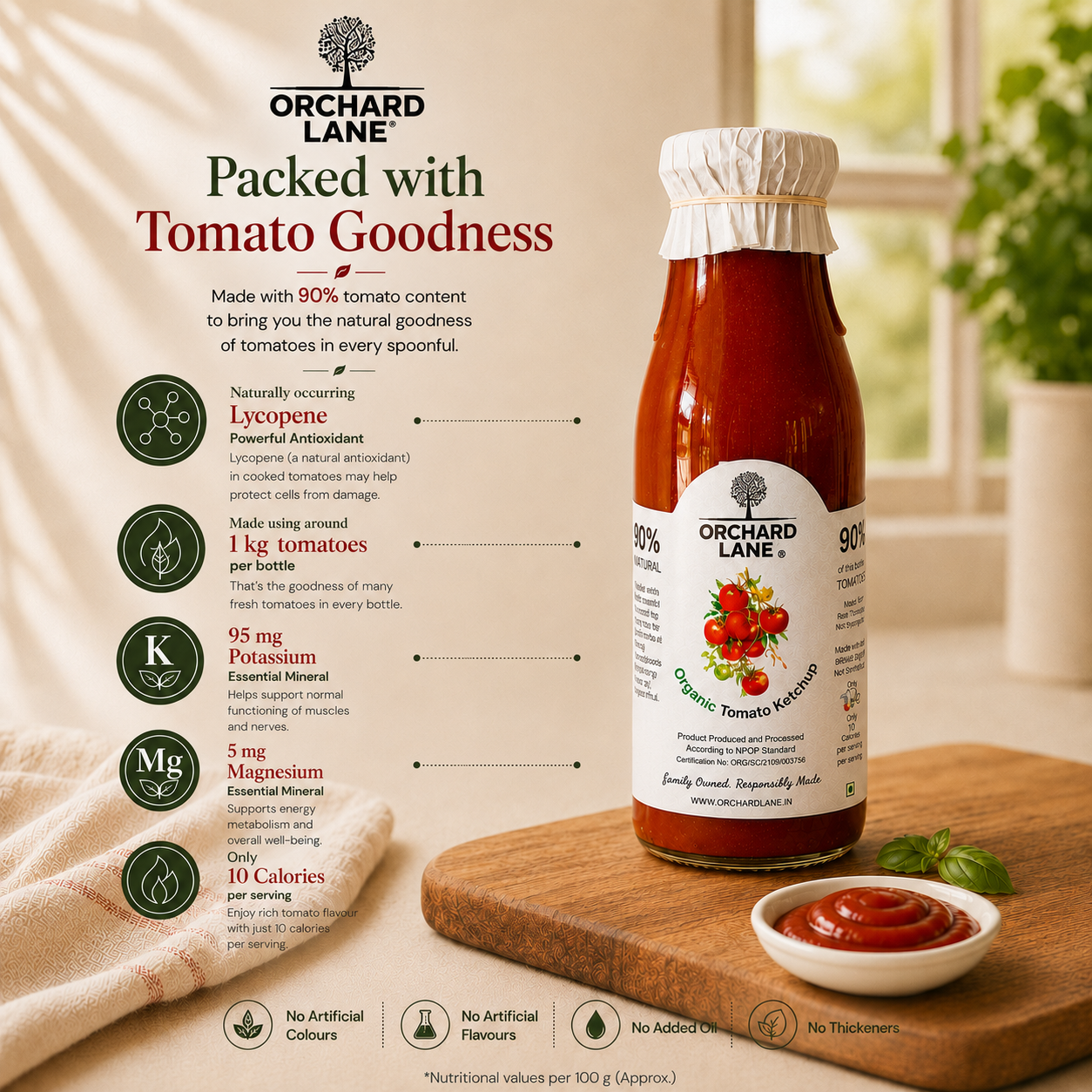 Organic Ketchup Combo of 2 | 350 gm each