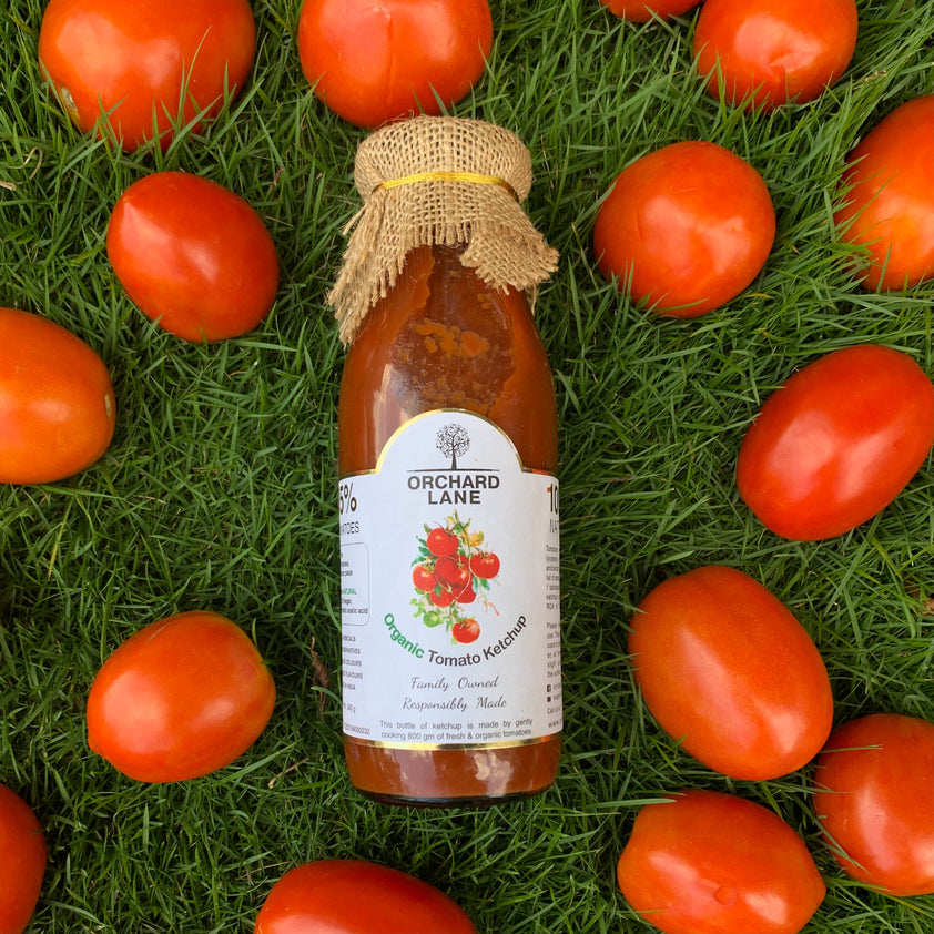 The Healthiest Ketchup by Orchard Lane low sugar, high nutrition.